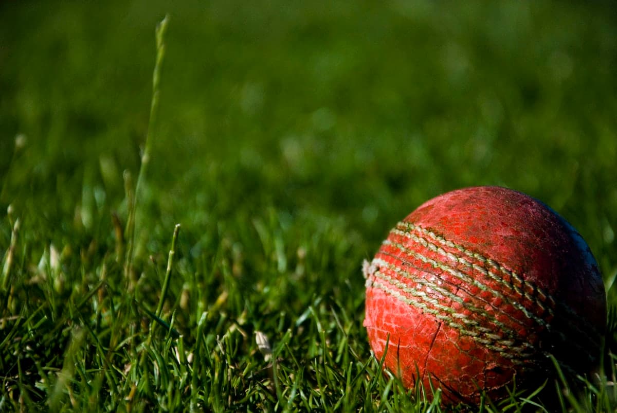 Cricket Turf