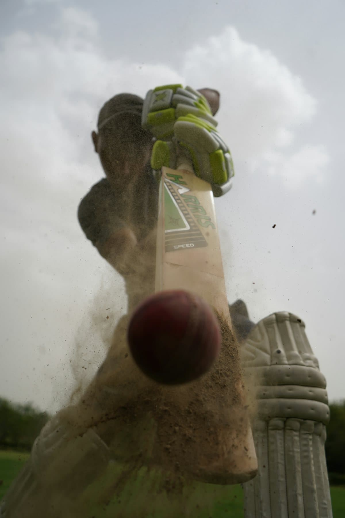 Cricket Nets